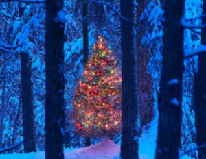 christmas_tree_322