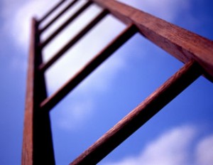 ladder_322