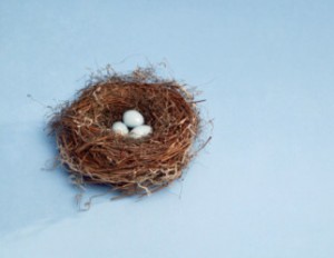 nest_egg_322