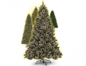 christmas_trees_322