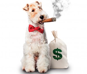 dog_money