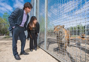 James Cohen and Linda McGarva-Cohen of Winnipeg gave a $500,000 cash donation for a Siberian tiger exhibit at the Assiniboine Park Zoo. (Photograph by Thomas Fricke)