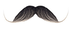 moustache