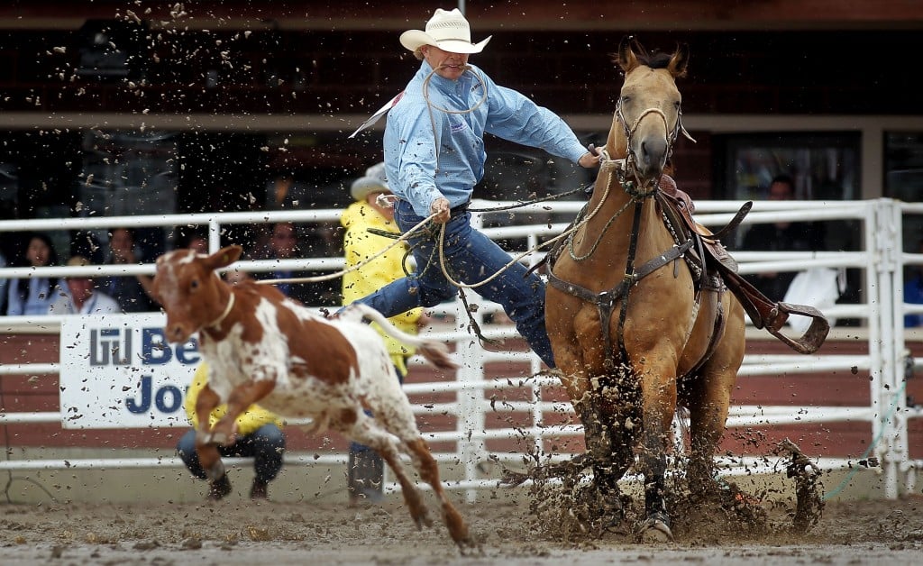 calgary stampede