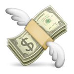 money-with-wings_150