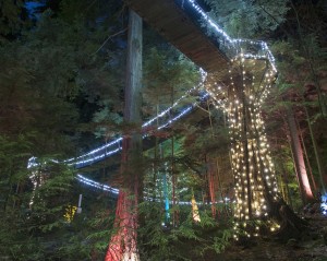 Christmas in Vancouver, Capilano Suspension Bridge Park (Getty / Brian Caissie)