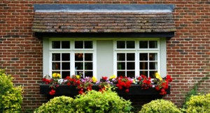 container garden