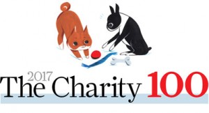 top-rated charities