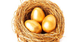golden eggs in basket