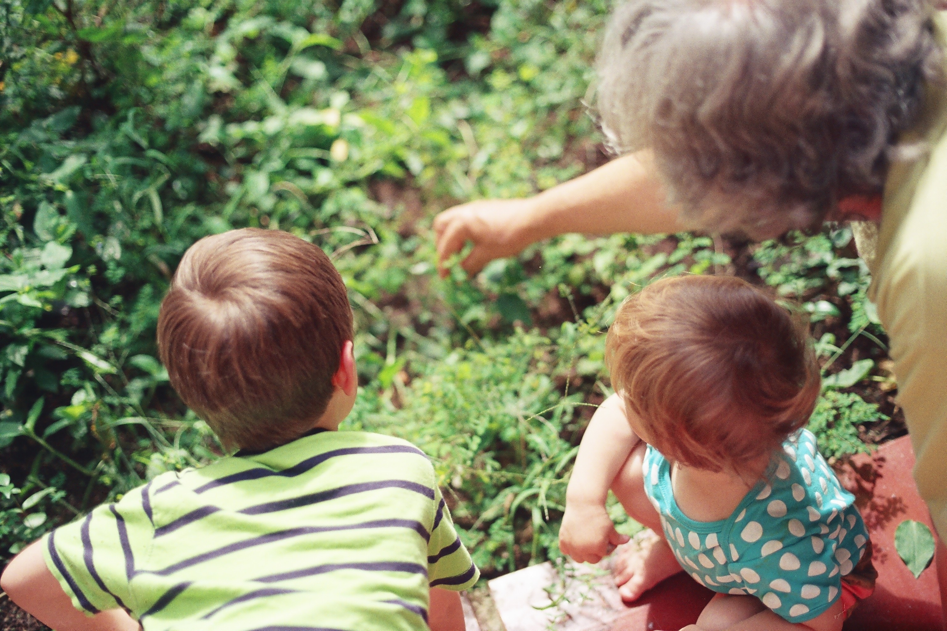 A Look At Options For Gifting Money To Your Grandkids Moneysense