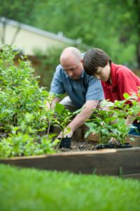 Father and son gardening