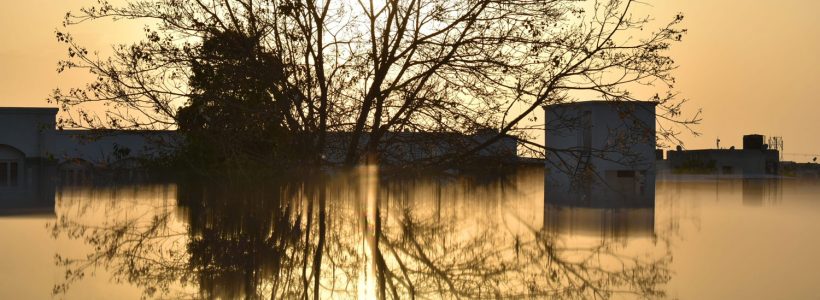 The sun is setting on a flood scene, with trees and homes peaking out of the water.