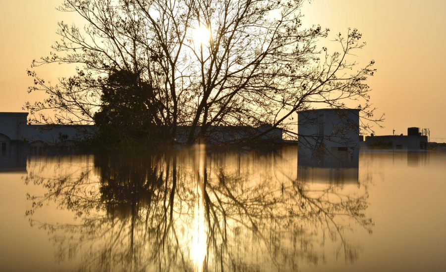 The sun is setting on a flood scene, with trees and homes peaking out of the water.