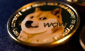 A gold coin with the image of a Shiba Inu dog