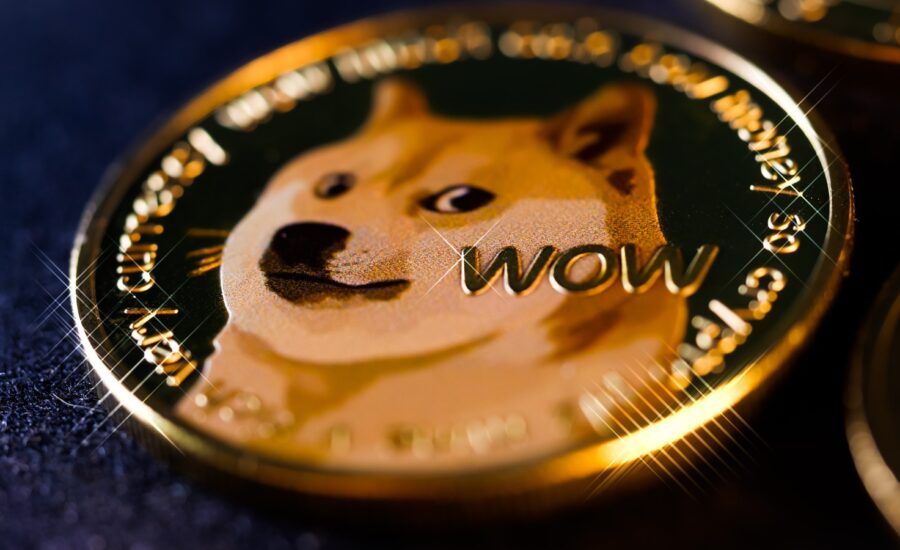 A gold coin with the image of a Shiba Inu dog
