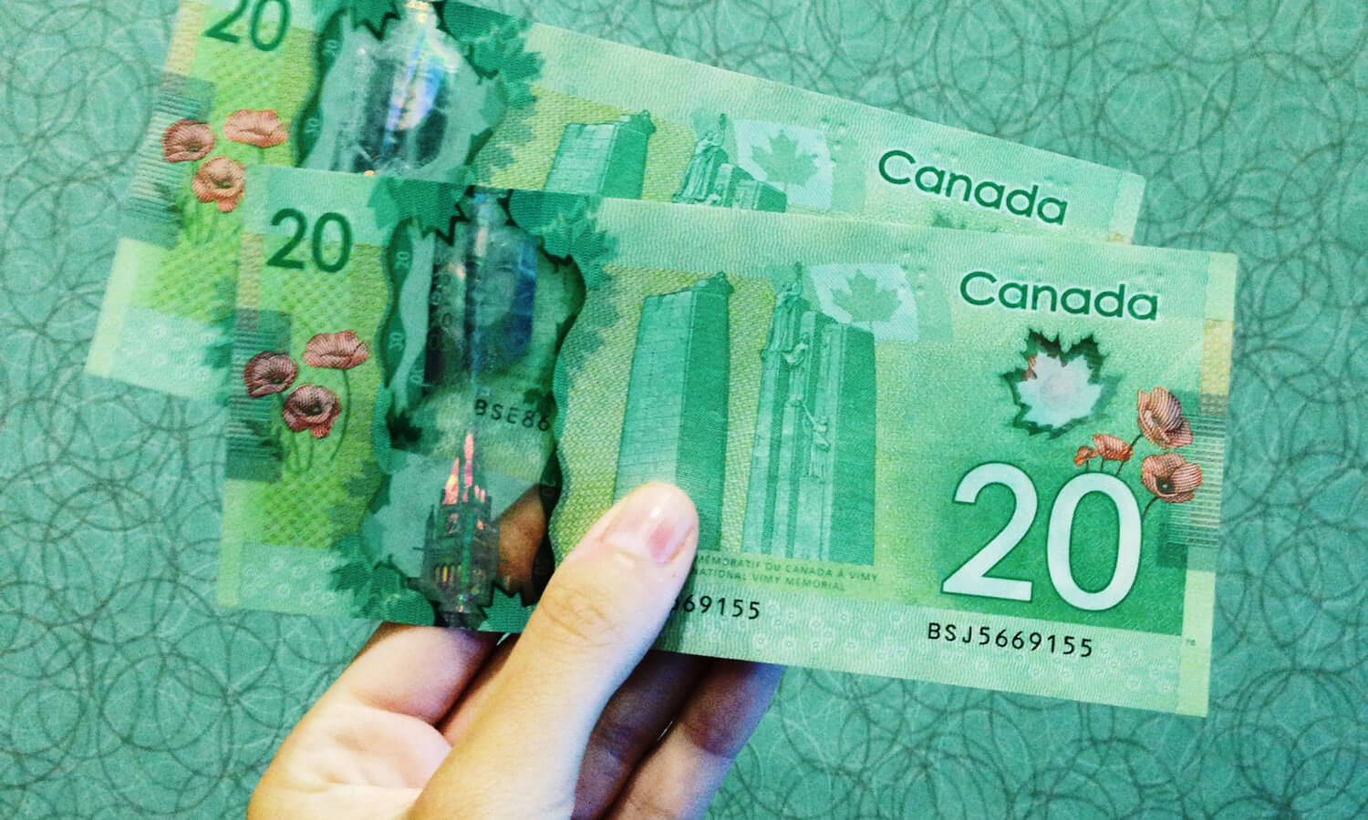 A hand holding Canadian 20-dollar bills