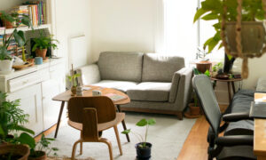 A grey couch is prominently feature in an apartment nicely decorated with plants