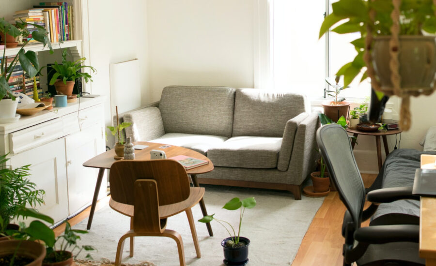 A grey couch is prominently feature in an apartment nicely decorated with plants