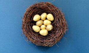 Nine golden eggs inside a bird's nest