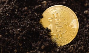 A gold coin with the bitcoin logo partly buried in soil