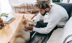 A young man leans forward on a couch to pet his dog.