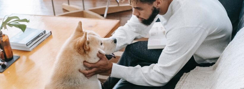 A young man leans forward on a couch to pet his dog.