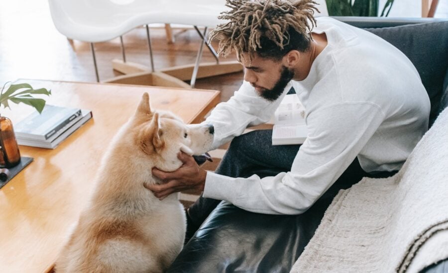 A young man leans forward on a couch to pet his dog.