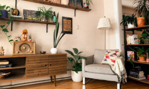 An interior view of an apartment, nicely decorated with plants, a throw pillow and other decor