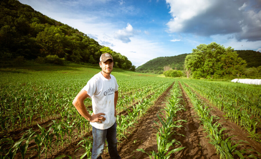 A young farmer stands proudly amongst the first leaves of corn stalks, as he may be getting the farm from his father to avoid taxes.