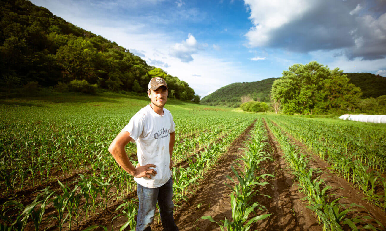 A young farmer stands proudly amongst the first leaves of corn stalks, as he may be getting the farm from his father to avoid taxes.