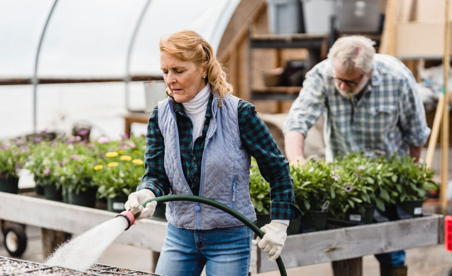 A woman nearing retirement waters her garden