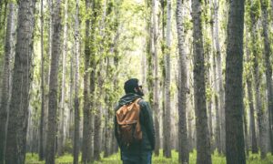 A man with a backpack walks through a forest