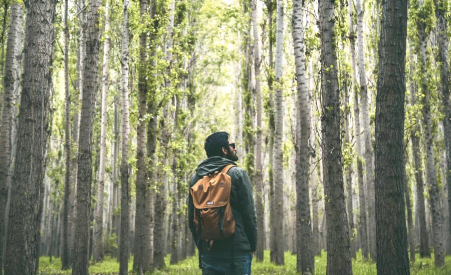 A man with a backpack walks through a forest