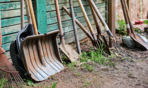 Several shovels and picks lean against a wall