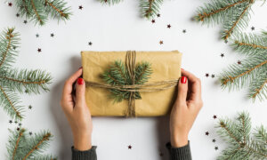 does td rewards visa have travel insurance A pair of hands holds a wrapped gift decorated with a twig of pine