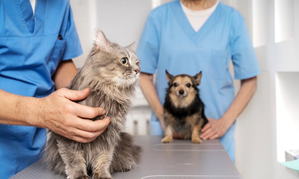 How much are solar panels in Canada? MoneySense