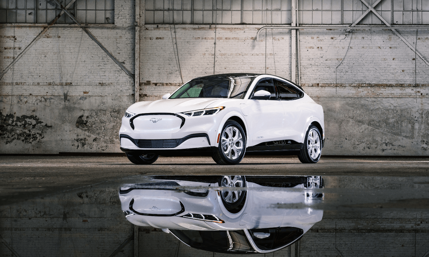 Ford Mustang Mach-E: o EV mais usado no Canadá