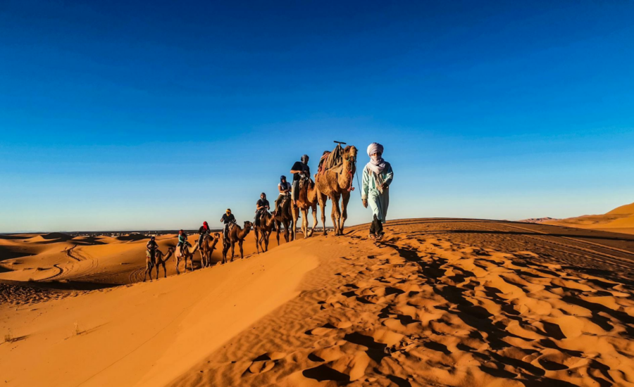 Travellers ride camels in the desert in Morocco