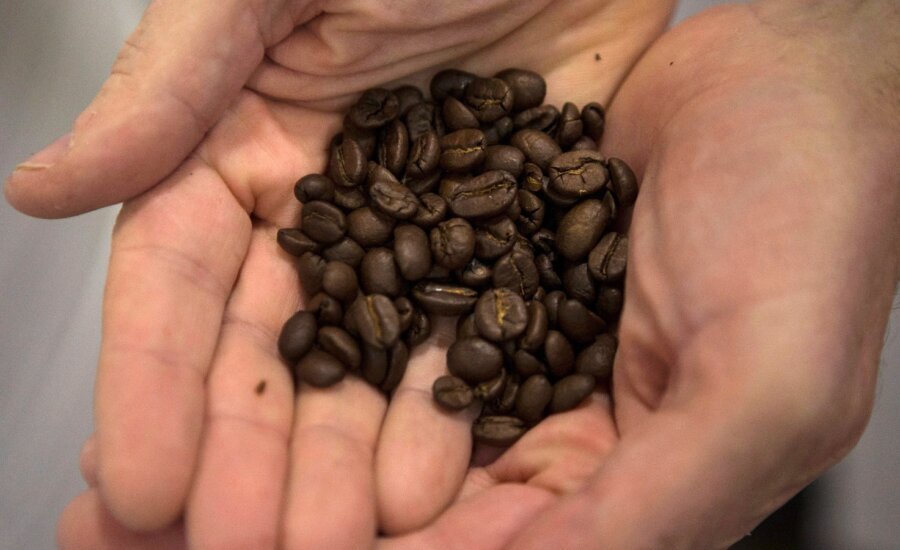Coffee beans are held by an employee at Club Coffee's plant in Toronto on Thursday, Nov. 2, 2017.