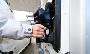 Eastern Canada provinces are going through a sticker shock of gas price hikes, with cars lining up at gas stations to get what they can before the price changes take effect. A person fills up at a gas station in Mississauga, Ont., Tuesday, Feb. 13, 2024.