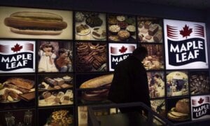 Person walks past Maple Leaf sign at meat facility