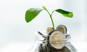 Green economy jar with money and growing plant
