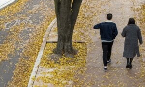 A couple walk among the fall leaves in downtown Vancouver, B.C.,Thursday, Nov. 24, 2022.