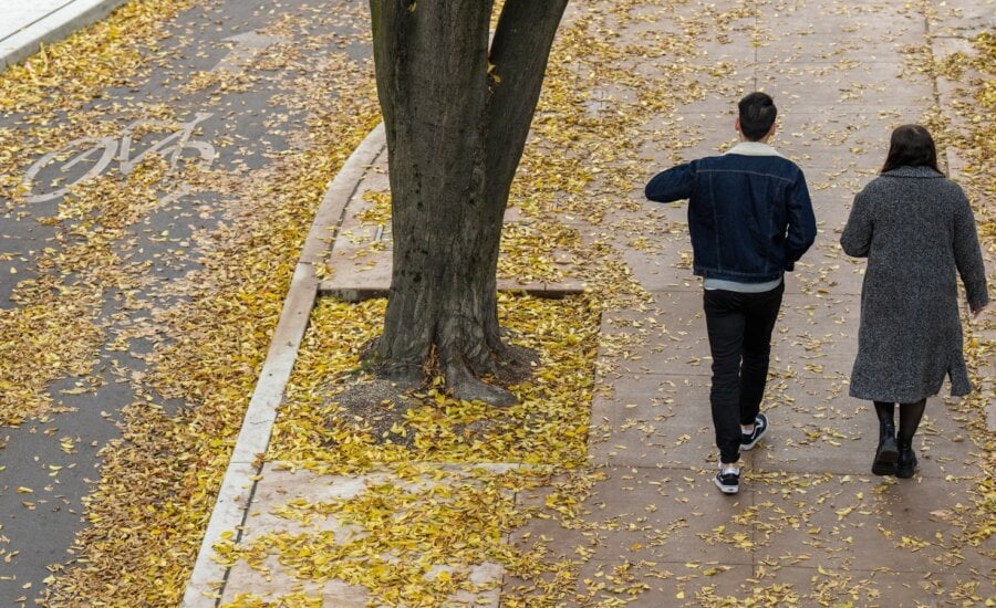 A couple walk among the fall leaves in downtown Vancouver, B.C.,Thursday, Nov. 24, 2022.