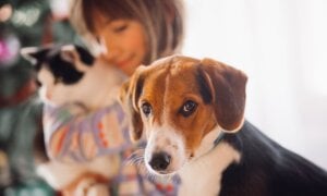 Woman cuddling her dog and cat