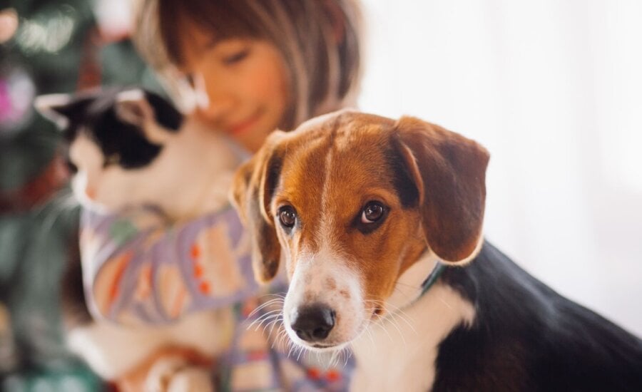 Woman cuddling her dog and cat