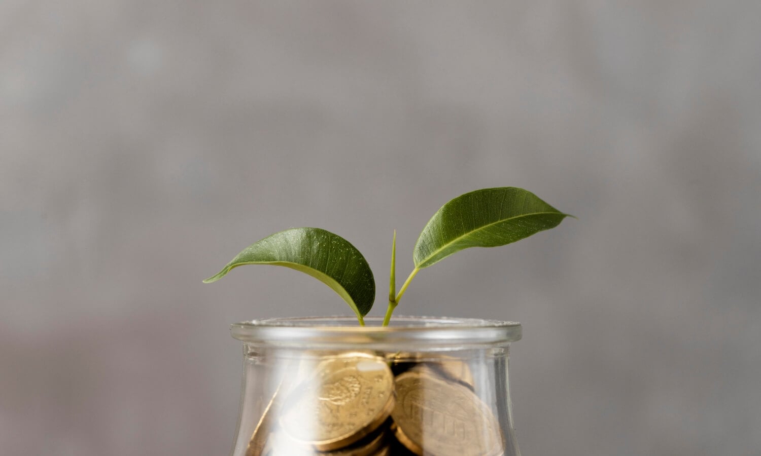 What to do if you overcontribute to your TFSA What to do if you overcontribute to your TFSA