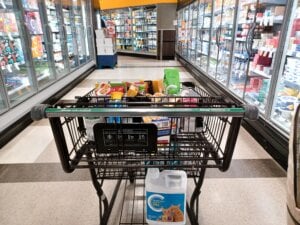 canada groceries and essentials benefit